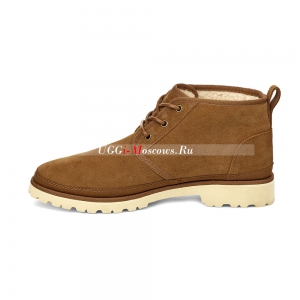 UGG NEULAND CHESTNUT