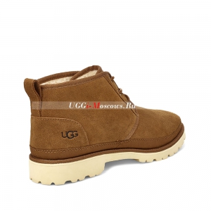 UGG NEULAND CHESTNUT