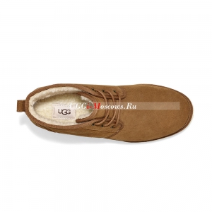 UGG NEULAND CHESTNUT