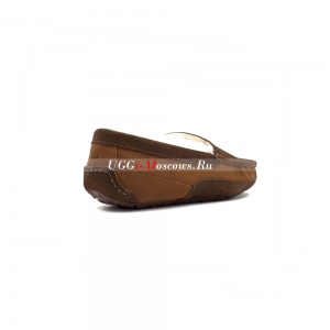 UGG MENS ASCOT GOGNAC