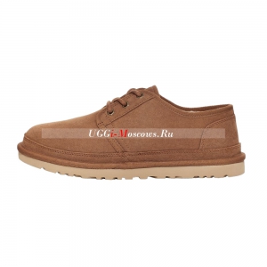 UGG MENS MINI NEUMEL LOW CHESTNUT