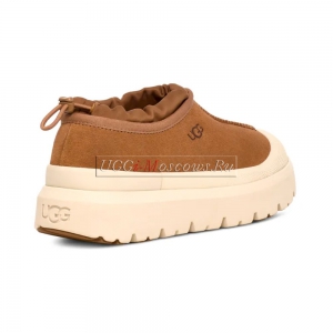 UGG TASMAN WEATHER HYBRID CHESTNUT WHITECAP