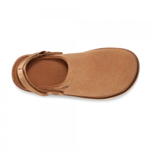 UGG GOLDENSTAR CLOG CHESTNUT