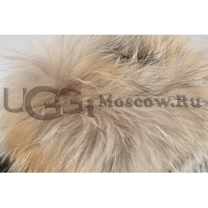 UGG Women With Fox Fur mini - Chestnut