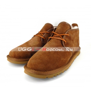 Ugg Mens Boots Maksim - Chestnut