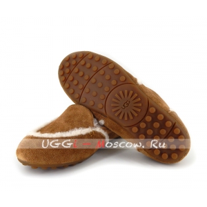 Ugg Women Loafer Slippers HAILEY - Chestnut