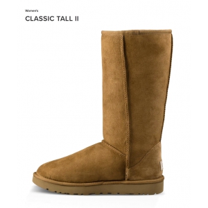 CLASSIC TALL II CHESTNUT 