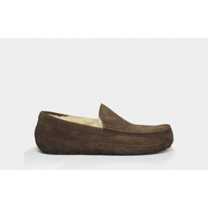 UGG Men Ascot - Chocolate