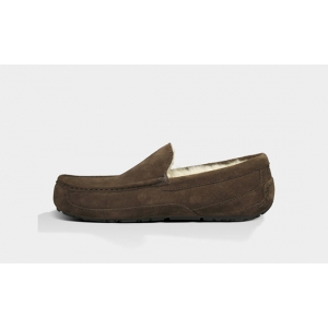 UGG Men Ascot - Chocolate