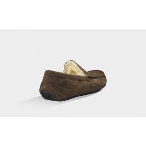 UGG Men Ascot - Chocolate