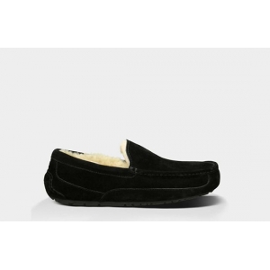 UGG Men Ascot - Black