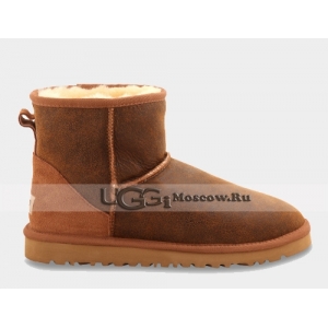 UGG Men Classic Mini Bomber - Chestnut