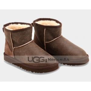 UGG Men Classic Mini Bomber - Chocolate